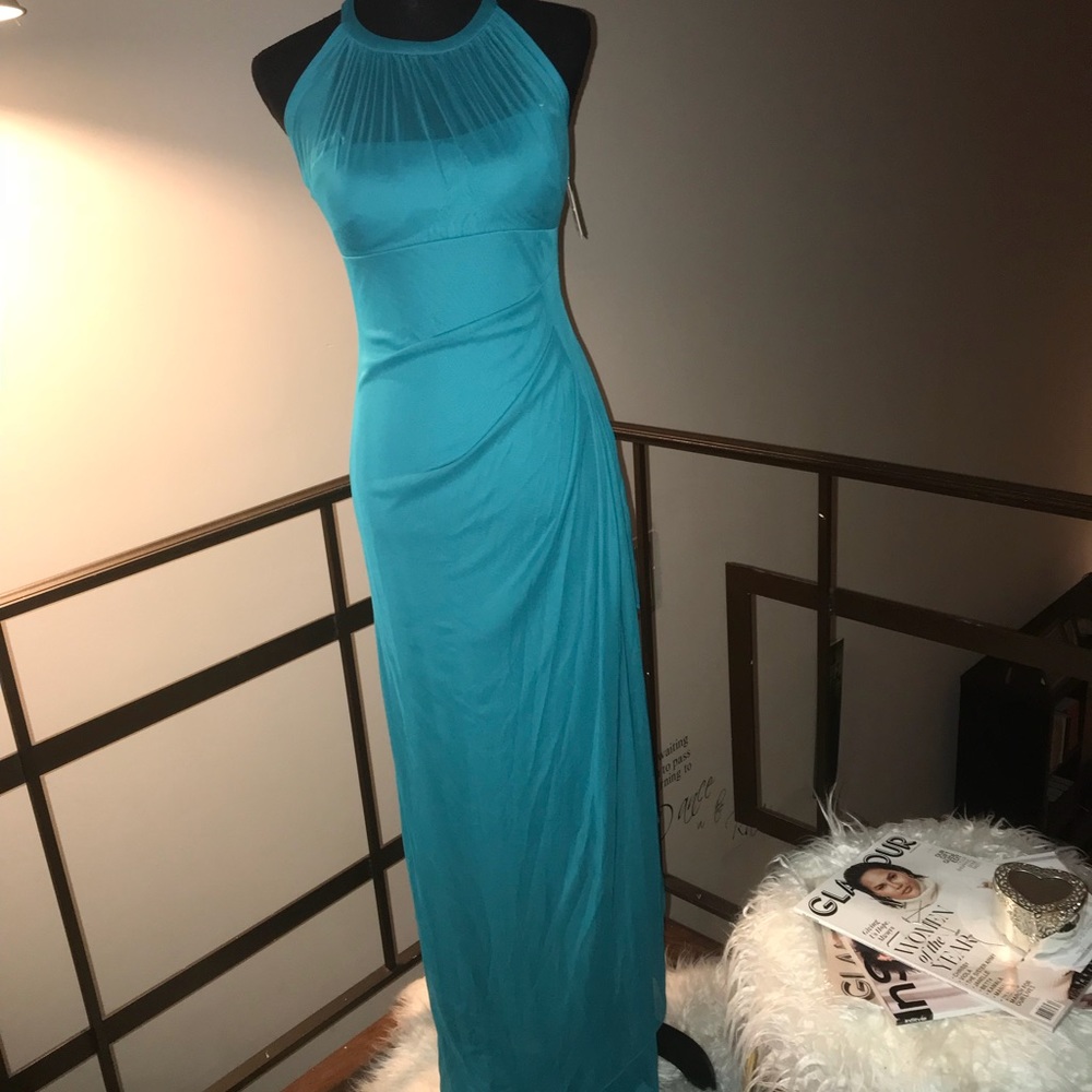 David’s Bridal Bridesmaid Gown